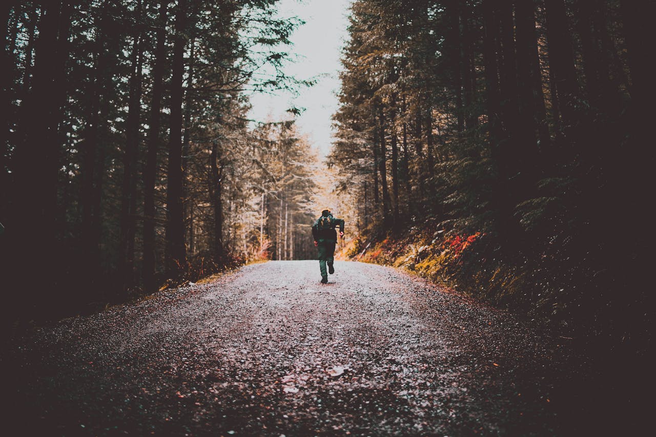 A lone traveler runs down a scenic forest dirt road, surrounded by tall trees.